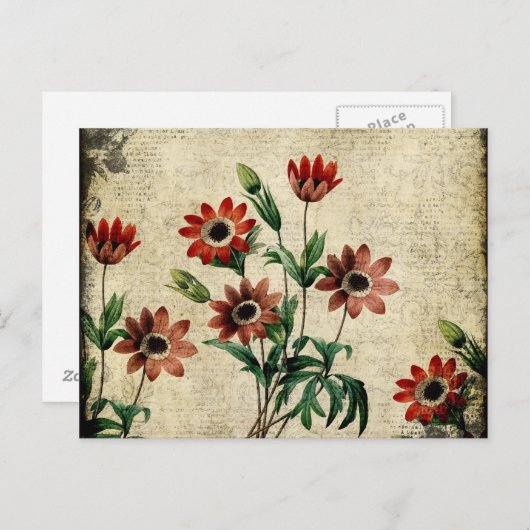 Tijdloze anemonen briefkaart (Voorkant / Achterkant)