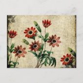 Tijdloze anemonen briefkaart (Voorkant)