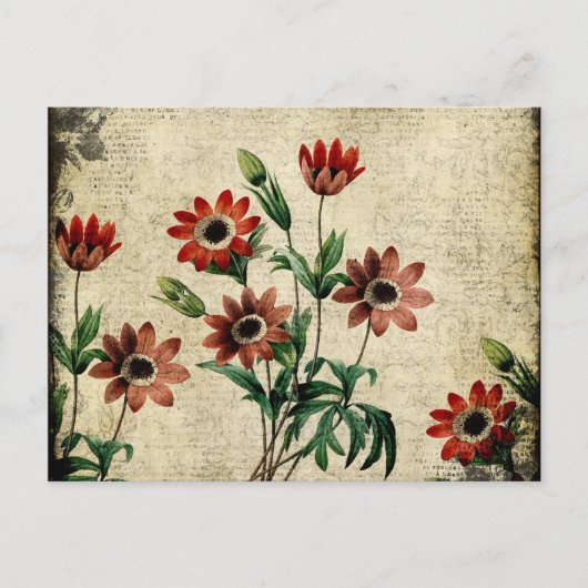 Tijdloze anemonen briefkaart (Voorkant)