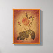 Tijdloze Elegantie Roos Canvas Afdruk (Voorkant)