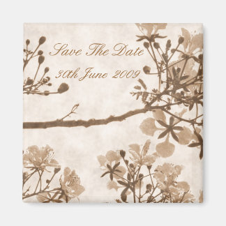 Tijdloze gelukzaligheid magneet