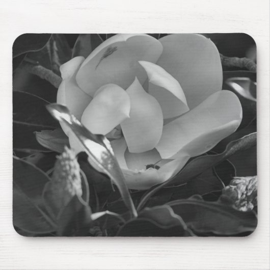 Tijdloze Magnolia Muismat (Voorkant)