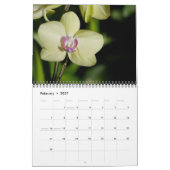 Tijdloze Orchideeën kalender (Feb 2027)