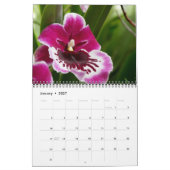 Tijdloze Orchideeën kalender (Jan 2027)