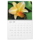 Tijdloze Orchideeën kalender (Mar 2027)