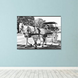 Tijdloze Reis Canvas Afdruk