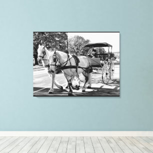 Tijdloze Reis Canvas Afdruk