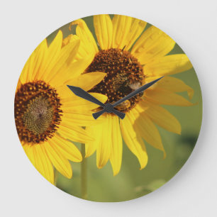 Tijdloze wilde zonnebloemen en bijen grote klok