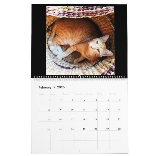 Tijdschema. 2018. De Kalender van het Boerderij (Feb 2026)