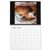 Tijdschema. 2018. De Kalender van het Boerderij (Feb 2026)