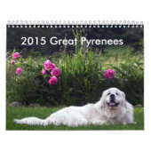 Tijdschema Grote Pyreneeën 2015 Kalender (Hoes)