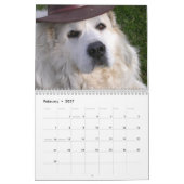 Tijdschema Grote Pyreneeën 2016 Kalender (Feb 2027)