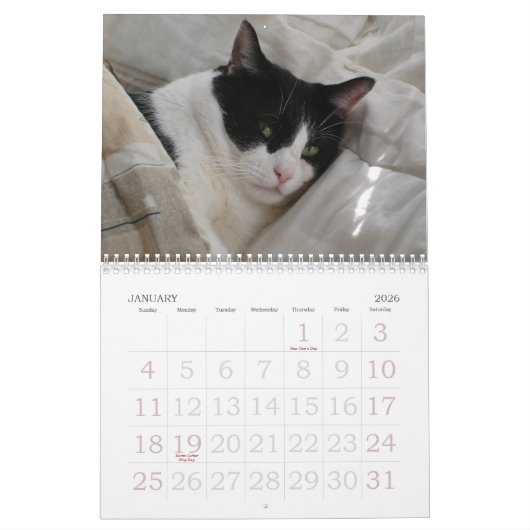 Tijdschema Kalender (Jan 2026)
