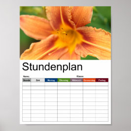 Tijdschema Oranje Asiatic Lily Poster
