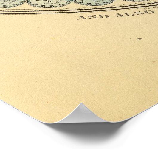 Tijdschema Poster (Hoek)