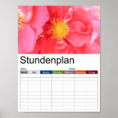 Tijdschema struik Rozen Poster (Voorkant)