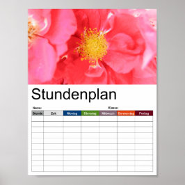 Tijdschema struik Rozen Poster