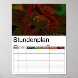 Tijdschema voor Asiatic Lily Poster