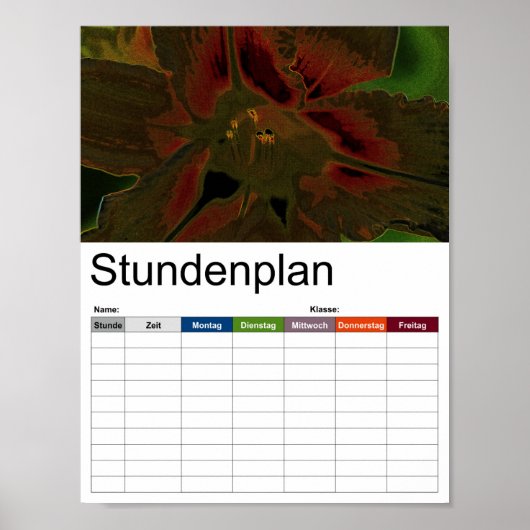 Tijdschema voor Asiatic Lily Poster (Voorkant)