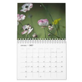 tijdschema voor de natuur van cyprus kalender (Jan 2027)
