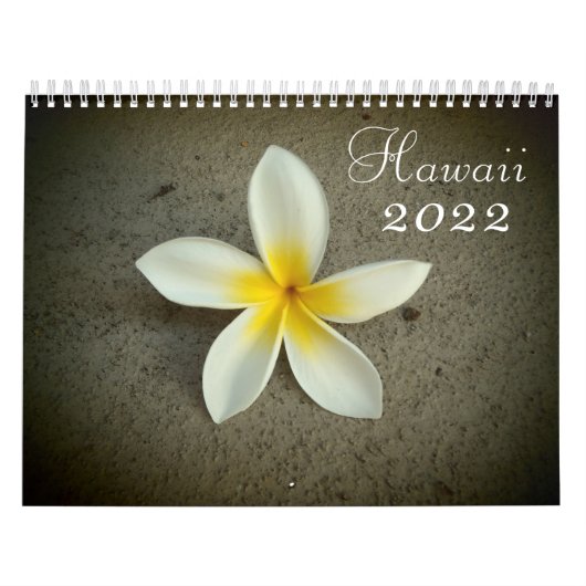 Tijdschema voor schilderachtig bestemming Hawaii 2 Kalender (Hoes)