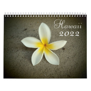 Tijdschema voor schilderachtig bestemming Hawaii 2 Kalender