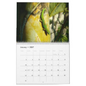 Tijdschema voor schilderachtig bestemming Hawaii 2 Kalender (Jan 2027)