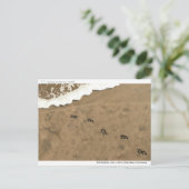 Tijdspad... Briefkaart (Staand voorkant)