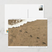 Tijdspad... Briefkaart (Voorkant / Achterkant)