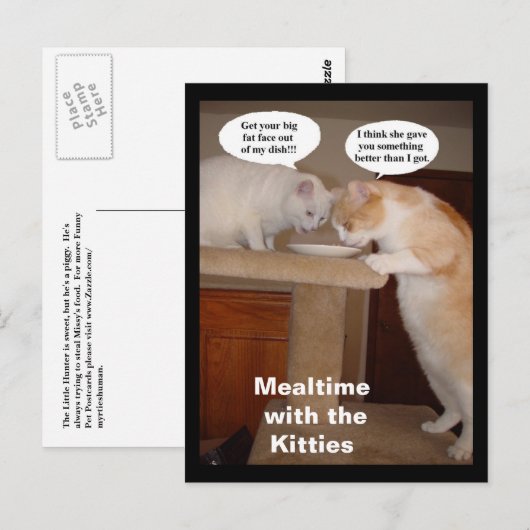 Tijdstip met de Katten Briefkaart (Voorkant / Achterkant)