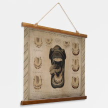 Tijdstip van de Paarden, Mouth Teeth Equine Dental