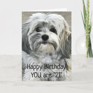TIJDSTIP VOOR CELEBRAAT "21e" BIRTHDAY Kaart