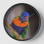 Tijdvliegen (Voorkant)