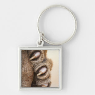 tijgelpoot sleutelhanger