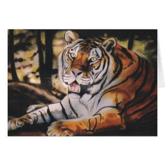 "Tijger"