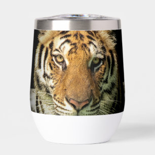 tijger