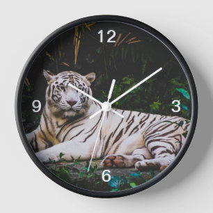 tijger