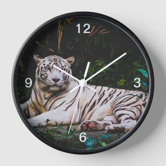 tijger (Voorkant)