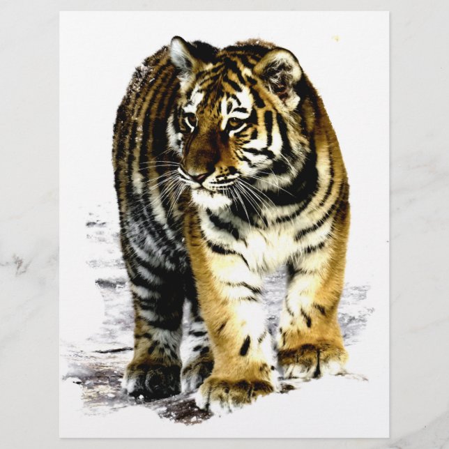 tijger (Voorkant)