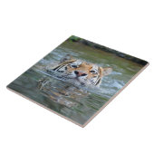 Tijger20160201 Tegeltje (Zijkant)