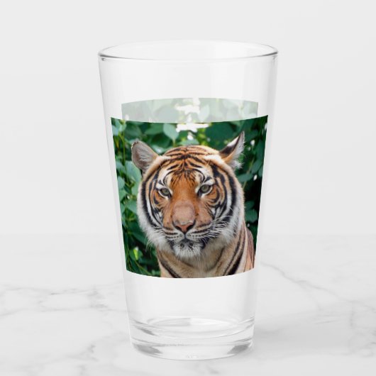 Tijger 001 glas (Voorkant)