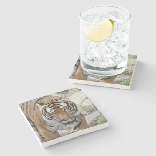 Tijger_001 Stenen Onderzetter (Zijkant)
