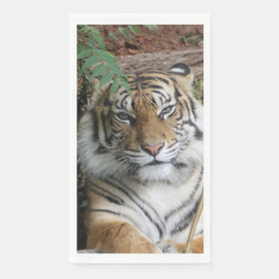 Tijger 005 servet