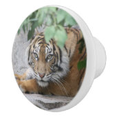 Tijger 008 keramische knop (Rechts)
