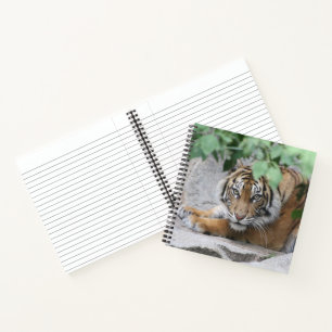 Tijger 008 notitieboek