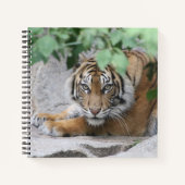 Tijger 008 notitieboek (Voorkant)