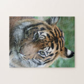 Tijger 012 legpuzzel (Horizontaal)
