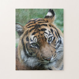 Tijger 012 legpuzzel