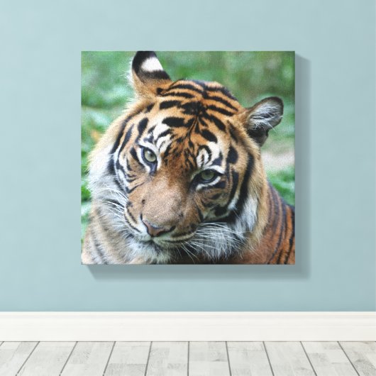 Tijger 013 canvas afdruk (Insitu (Houten vloer))