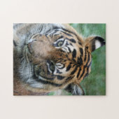 Tijger 013 legpuzzel (Horizontaal)